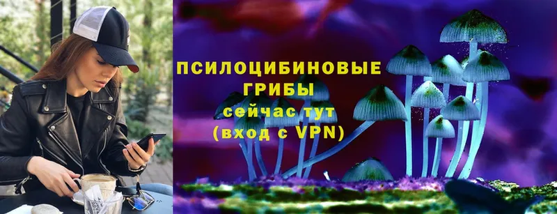 Галлюциногенные грибы ЛСД  где продают наркотики  Изобильный 